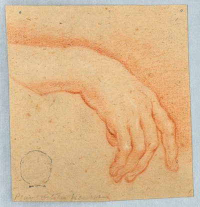 Study of a Right Hand by Unknown artist