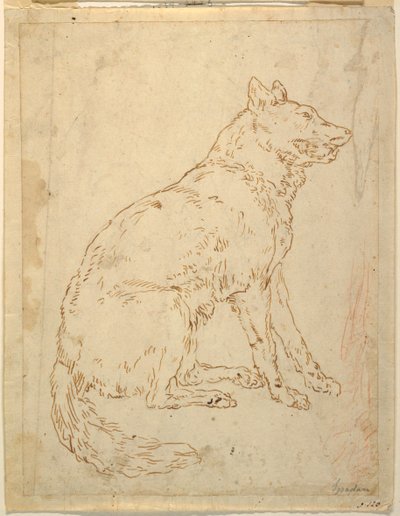 Study of a Sheepdog by Unknown artist