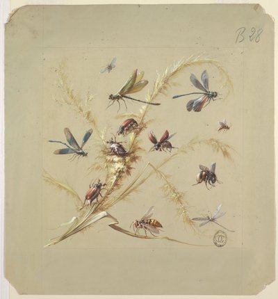 Textile or Wallpaper Design: Insects by Unknown artist