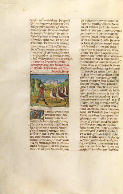 The Companions of Diomedes Changed to Geese by Unknown artist