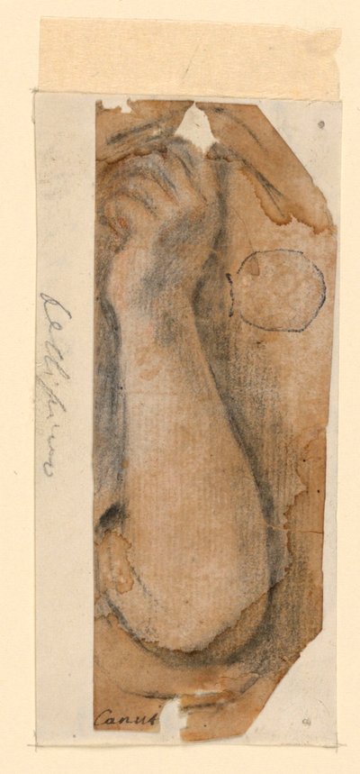 The Raised Forearm of a Woman by Unknown artist
