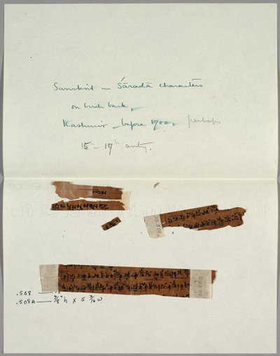 Two Fragments of Bark with Sanskrit by Unknown artist
