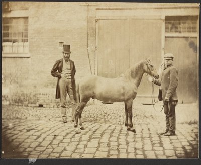 Two Men and a Horse by Unknown artist