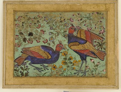 Two Pheasants by Unknown artist