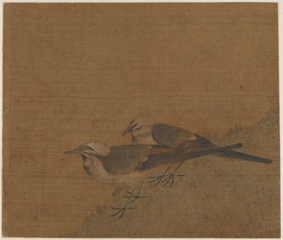 Two Pied Wagtails by Unknown artist