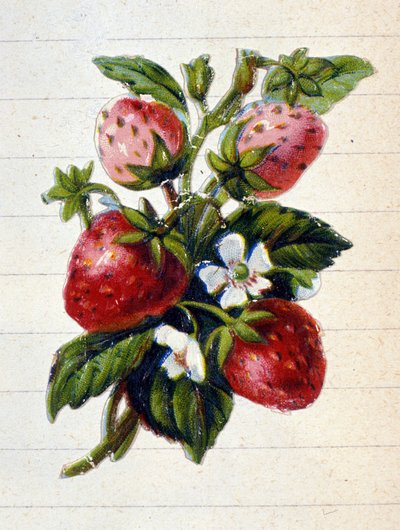 Unknown Image by Unknown artist
