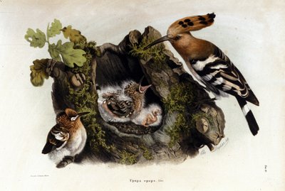 Unknown Image by Unknown artist