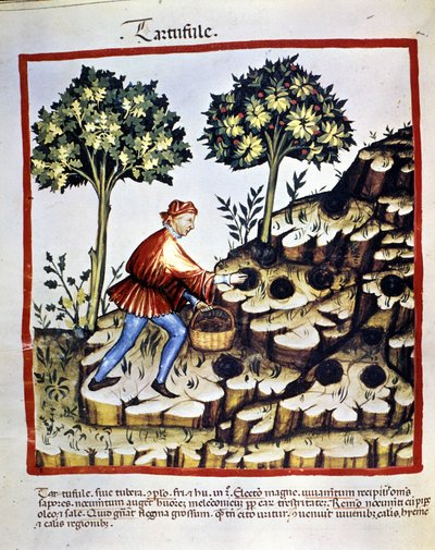 Unknown Image by Unknown artist