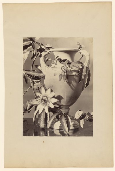 Vase with Passion Flowers by Unknown artist