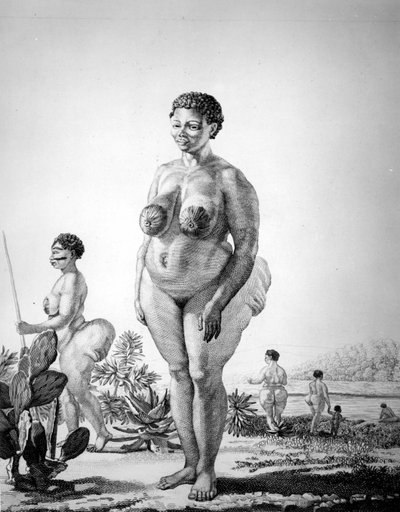 Venus Hottentote of South Africa by Unknown artist
