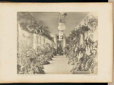 Verandah, Government House, Mauritius by Unknown artist