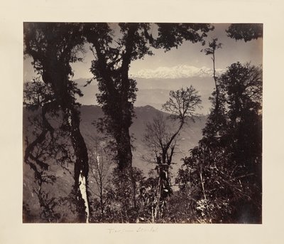 View from Senchal by Unknown artist
