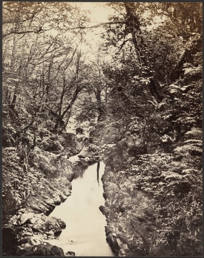 Wooded Landscape with Stream by Unknown artist