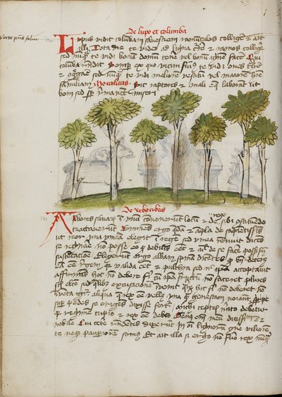A Forest by Unknown artist/maker