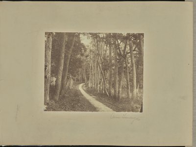 Avenue Tiendong by Unknown artist/maker