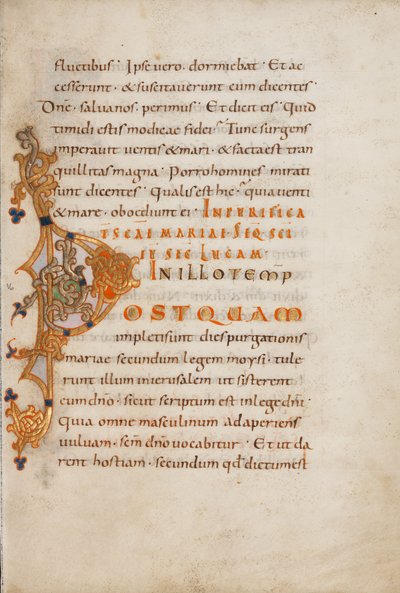 Decorated Initial P by Unknown artist/maker
