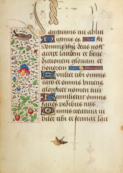 Decorated Text Page by Unknown artist/maker