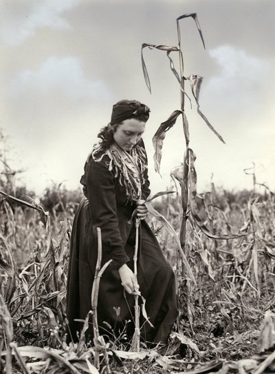 Friulian extruded by Unknown photographer
