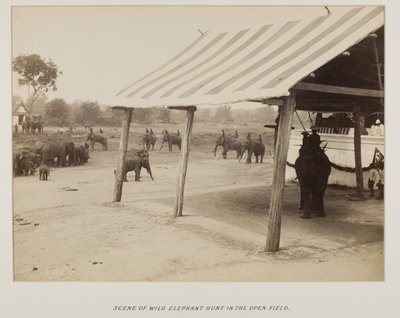 Photograph in photograph album by Unknown photographer