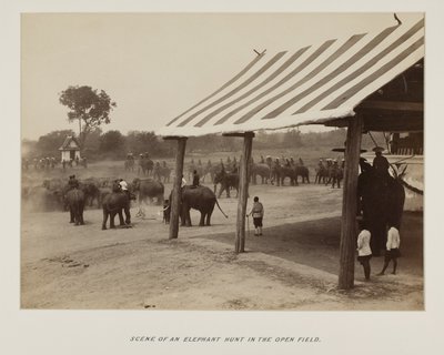 Photograph in Photograph Album by Unknown photographer