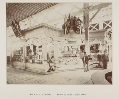 Photograph in photograph album by Unknown photographer