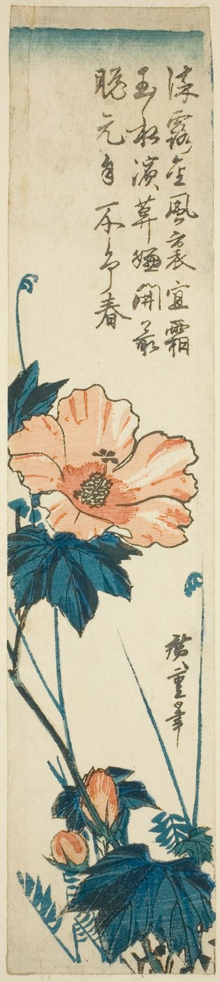 Hibiscus by Utagawa Hiroshige