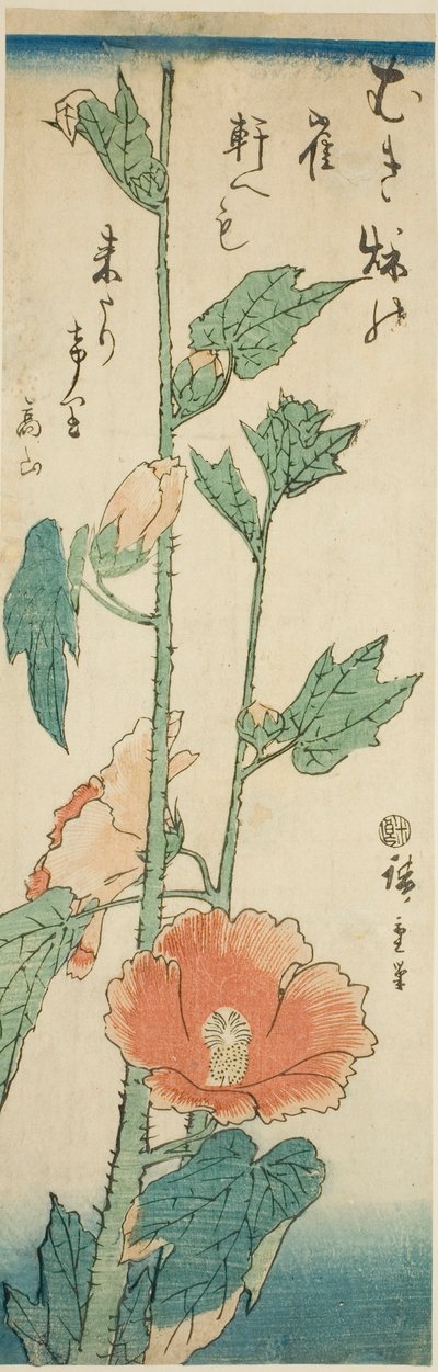 Hibiscus by Utagawa Hiroshige