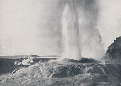 Geyser, New Zealand by Valentine and Sons Ltd