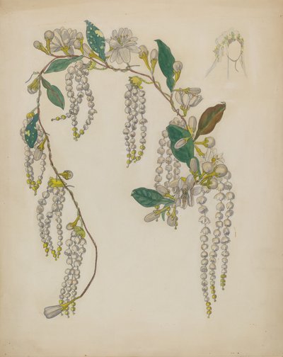 Bridal Wreath by Verna Tallman