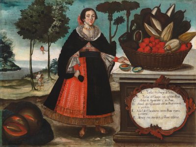 Indian Woman in Special Attire by Vicente Alban