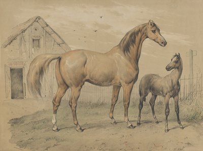 Mare and Foal by Victor Adam