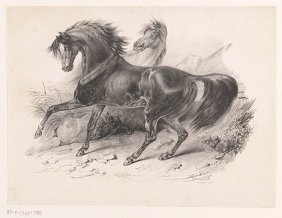 Two Wild Horses by Victor Adam