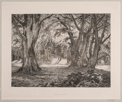 The Interior of a Forest by Vilhelm Kyhn