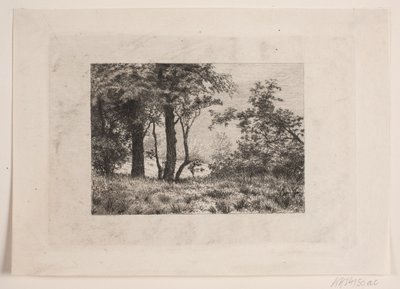 Oak Trees at the Edge of a Forest by Vilhelm Kyhn