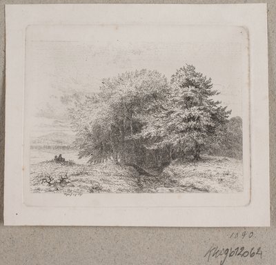 Edge of a Forest by Vilhelm Kyhn