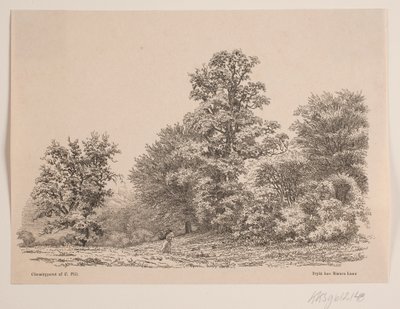 Edge of a Forest by Vilhelm Kyhn
