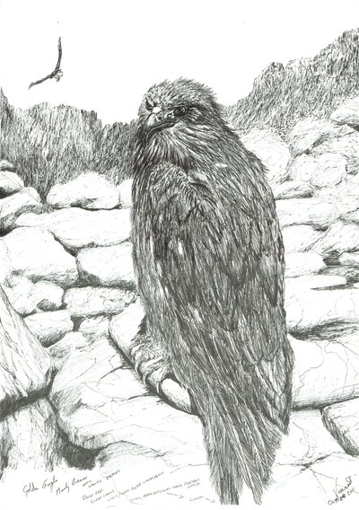 Eagles of the Highlands by Vincent Alexander Booth