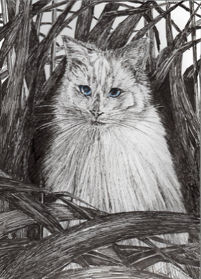 Jungle Monty by Vincent Alexander Booth