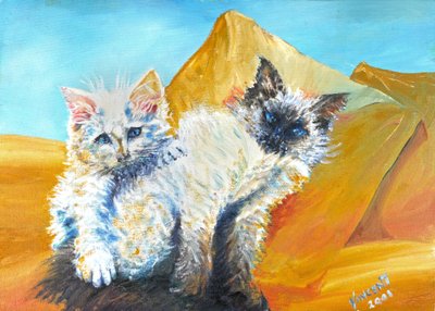 Kittens Monty and Baby by Vincent Alexander Booth