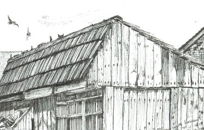 Pigeon loft by Vincent Alexander Booth