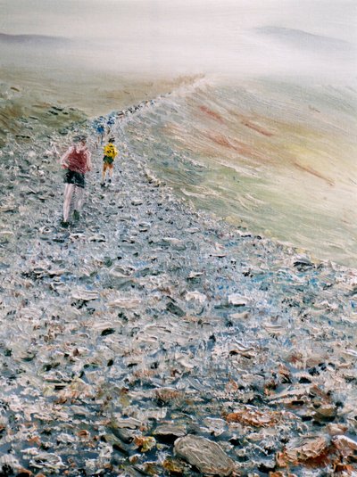 Run up Snowdon by Vincent Alexander Booth