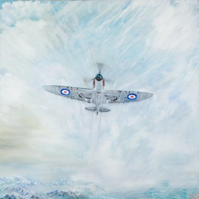 Spitfire Ace of Spades by Vincent Alexander Booth