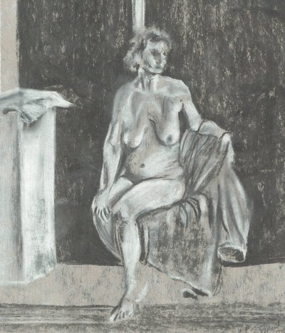 The Sitter by Vincent Alexander Booth