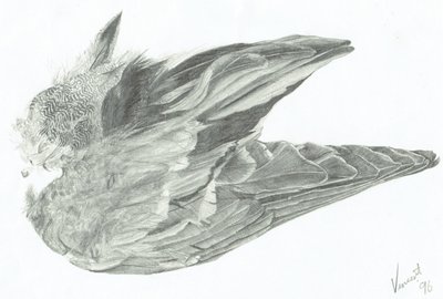 Wing by Vincent Alexander Booth