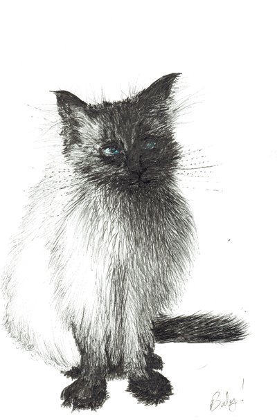 Young Baby, 2004 by Vincent Alexander Booth