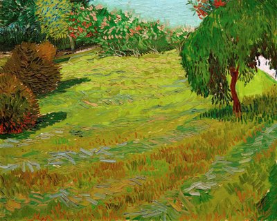 Garden with Weeping Willow, 1888 by Vincent van Gogh