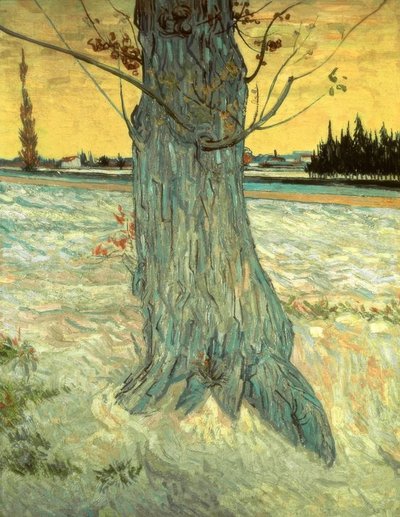 The Tree by Vincent van Gogh