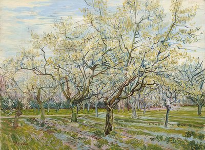 The White Orchard, 1888 by Vincent van Gogh