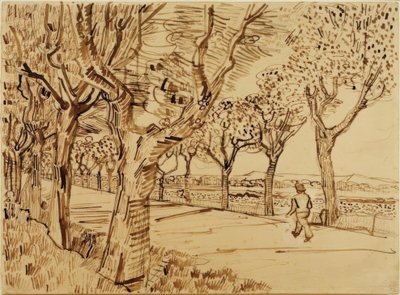 The Road to Tarascon by Vincent van Gogh