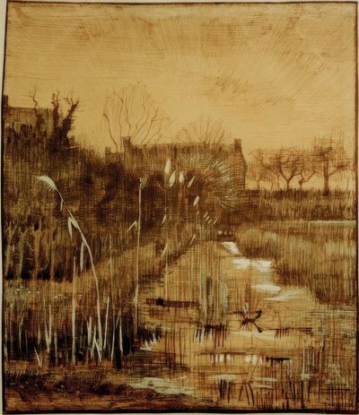 Ditch by Vincent van Gogh